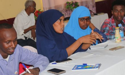 FESOJ and VIKES conclude labour rights training in Garowe for 25 journalists
