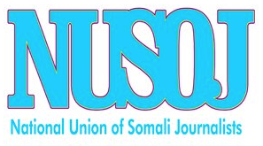 Training Statement – South Central Somalia Regions Media Monitoring