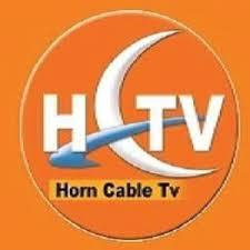FESOJ condemns Somaliland authority for the closure of Horn Cable TV station and the arrest of its editor.