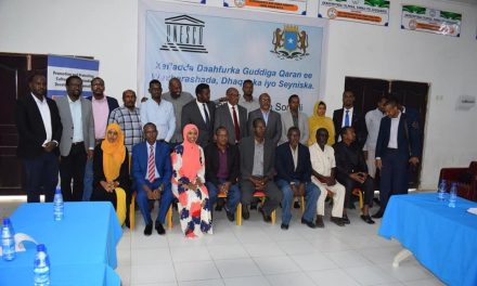 Media groups in Somalia raise alarm over corrupt individuals in the National Commission of Education, Culture and Science appointed by the Federal Government