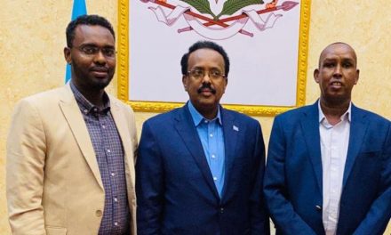 FESOJ and Media Fraternities Have Appealed Somali President Not to Sign the Draconian Media Law After Meeting