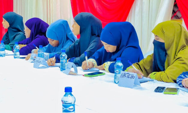 Training workshop improving the professional skills of young journalists concluded in Dhuusamareeb city, Galmudug State