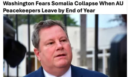 FAKE: This screenshot of an article about Somalia’s future after AU peacekeepers leave is fabricated