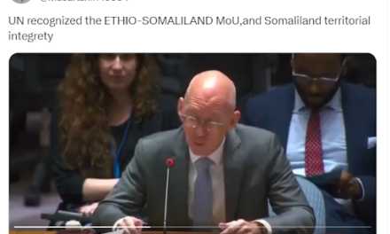 ALTERED: UN acting envoy for Somalia didn’t express confidence in the Somaliland-Ethiopia MoU