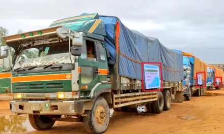 FALSE: These vehicles are not carrying weapons entering Galmudug State, Somalia