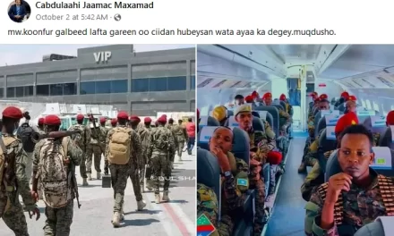 PARTLY FALSE: One of these images doesn’t depict the arrival of Somalia’s Southwest Regional State leader in Mogadishu.