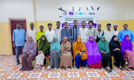 Twenty young journalists completed training advancing their professional skills in Beledweynte city, Hirshabelle State